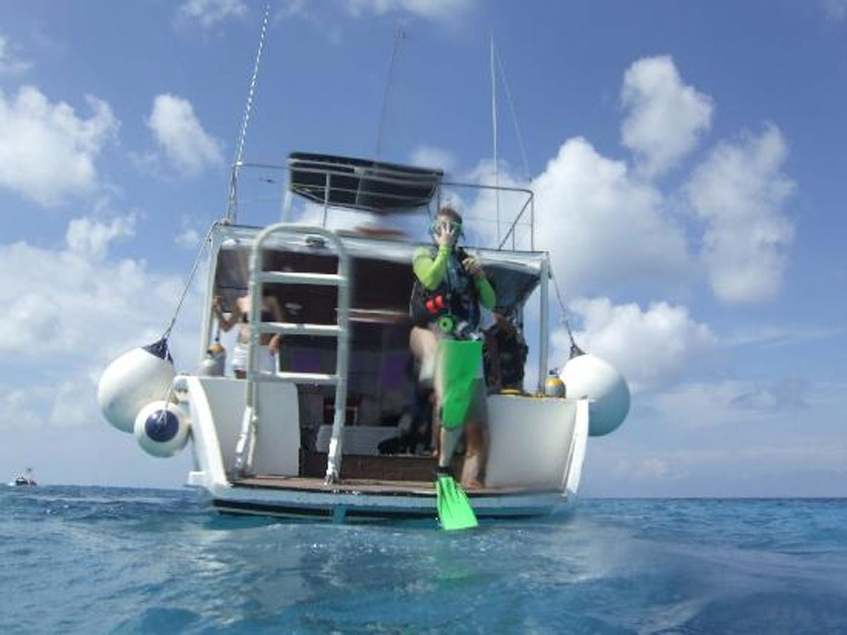 Diver jumping from The Swordfish